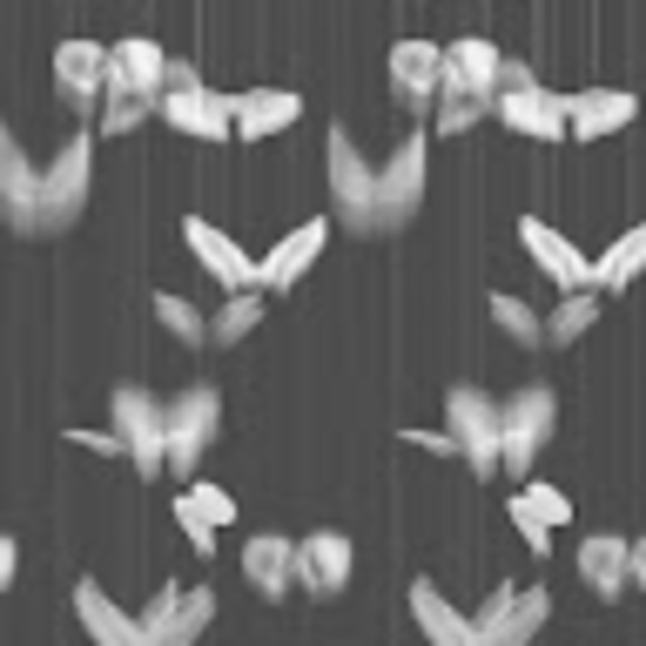 Meet your Posher, Jayla - Picture 1 of 1